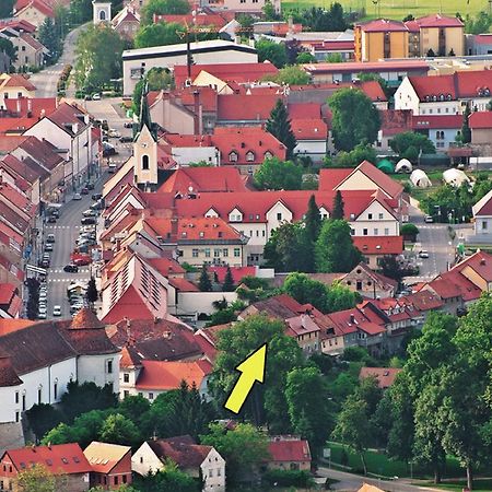 Apartment Gasa Brežice Zewnętrze zdjęcie