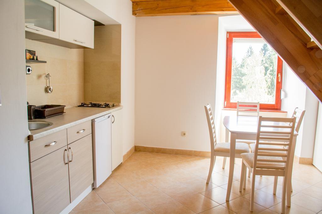 Apartment Gasa Brežice Zewnętrze zdjęcie